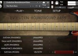 Orange Tree Samples Evolution Roundwound Bass